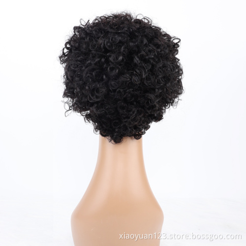 Mayqueen Wholesale Wigs Vendor Unprocessed Short Curly Pixie Cut HD Brazilian Transparent Human Hair Lace Front Wigs For Women
